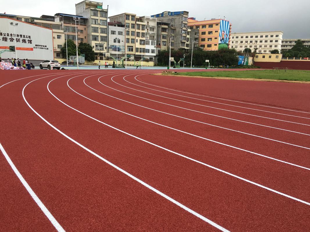 衡水市塑胶跑道塑胶跑道材料 - 方案